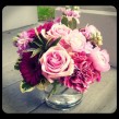 Pink-and-Violet