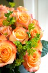 Orange-roses-brighter