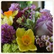 Monthly Floral Gift Subscription
